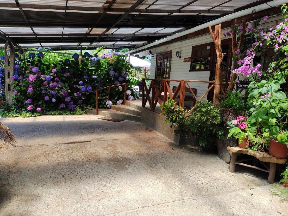 Complejo Cabanas Petalos ヴィヤリカ エクステリア 写真